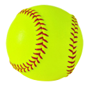 Birdville logo